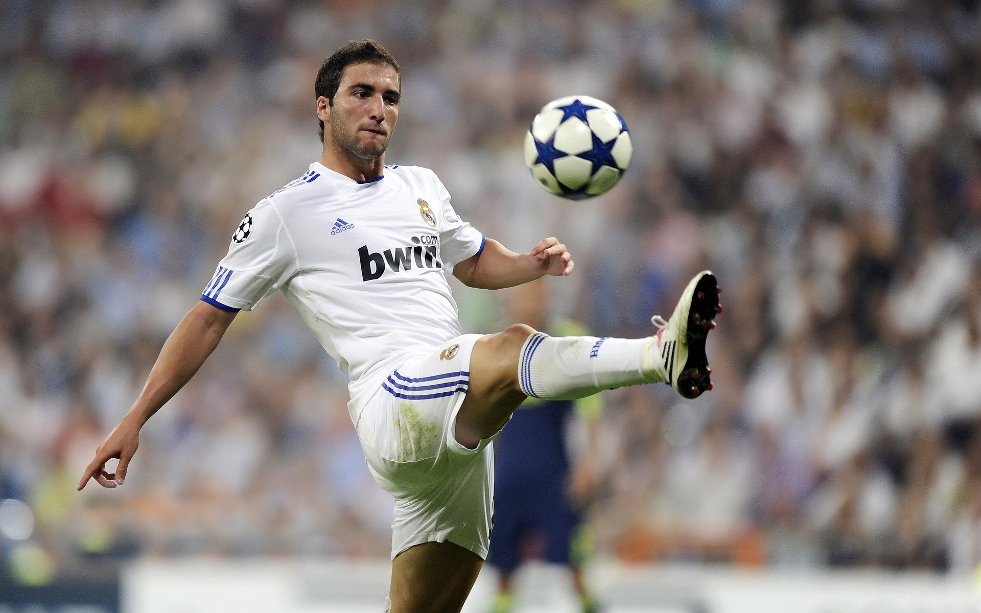 金牌之夜！阿根廷足球队荣耀封王，阿根廷冠军