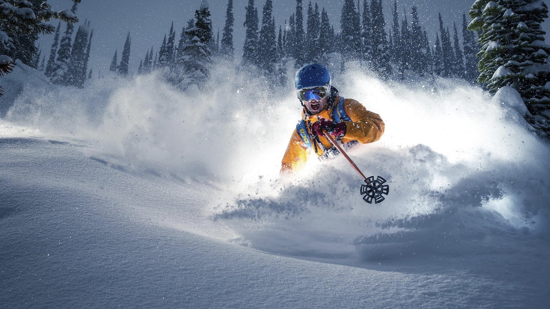 巴基斯坦重新燃起希望，球迷信心回来了，“巴基斯坦”